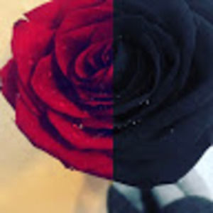 Meet your Posher, Sidney